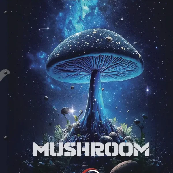 آلبوم کاغذ دیواری ماشروم Mushroom